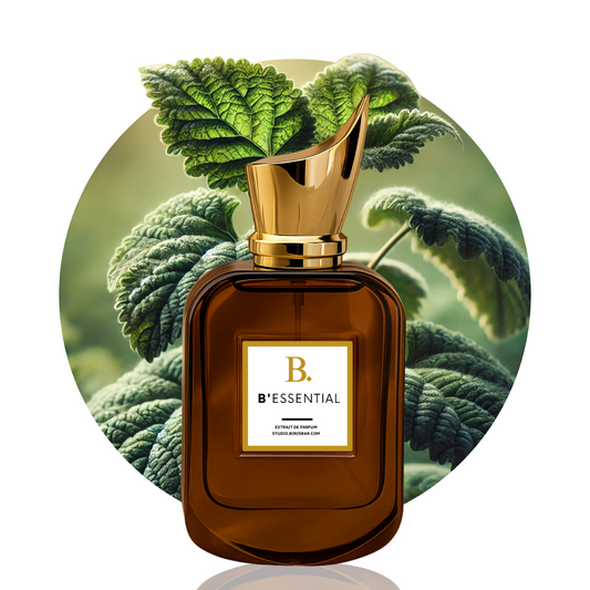 B' Essential By Bin Israr Official - Perfume - Perfume For Men - Premium Long Lasting Fragrance - Perfumes